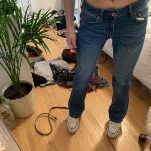 bootcut American  eagle jeans